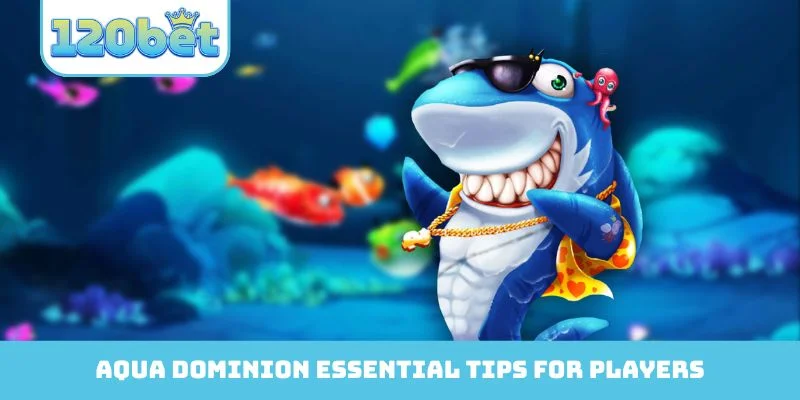 Aqua Dominion essential tips for players