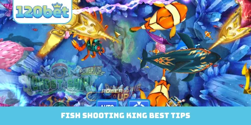 Fish Shooting King best tips