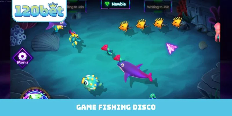 Fishing Disco