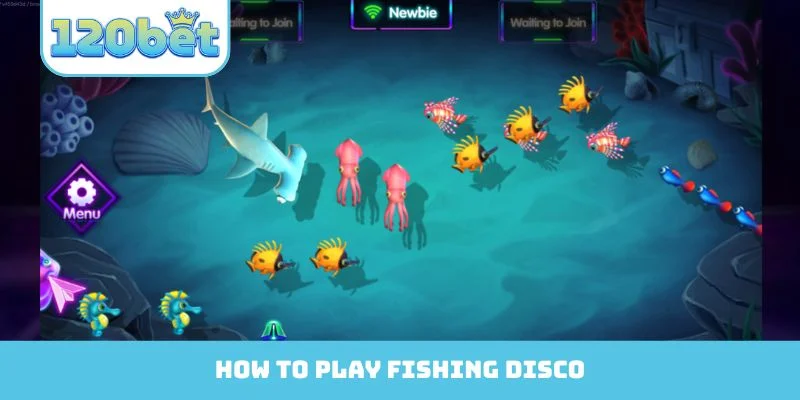 How to play Fishing Disco