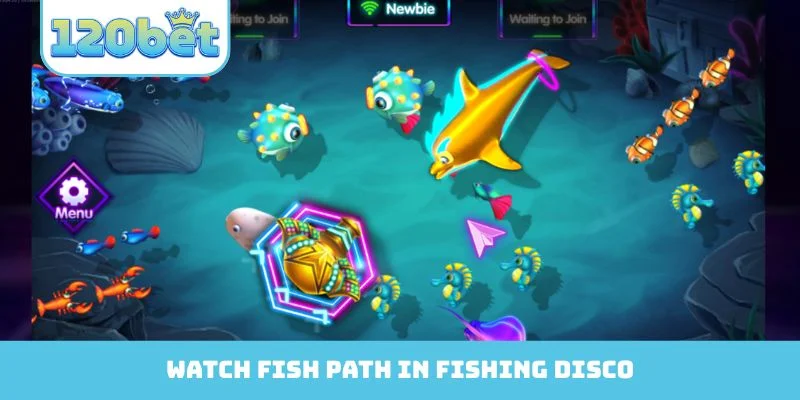 Watch fish path in Fishing Disco