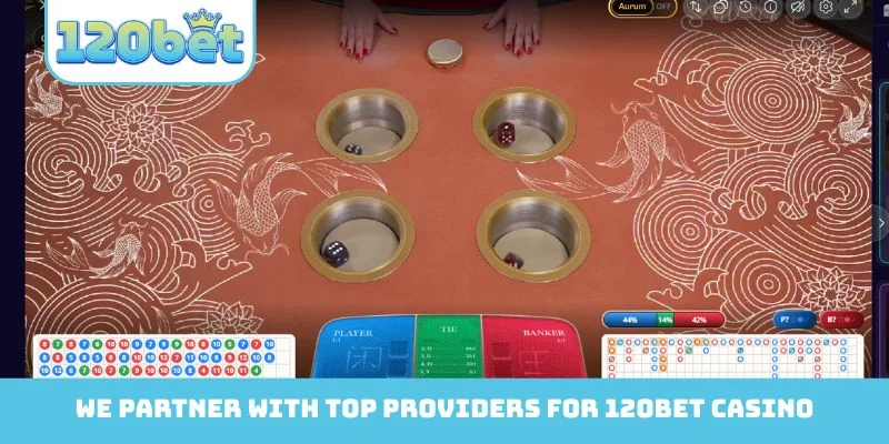 We partner with top providers for 120Bet Casino